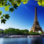 Wildlife Holiday Package Tours